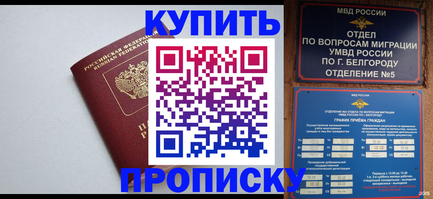 прописка регистрация в Козловке